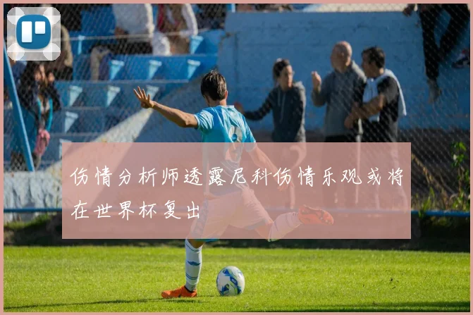 伤情分析师透露尼科伤情乐观或将在世界杯复出