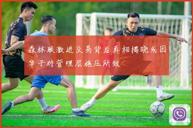 森林狼激进交易背后真相揭晓或因华子对管理层施压所致