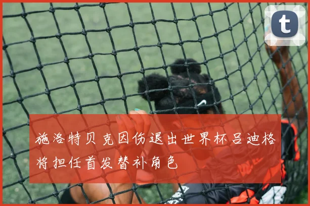 施洛特贝克因伤退出世界杯吕迪格将担任首发替补角色